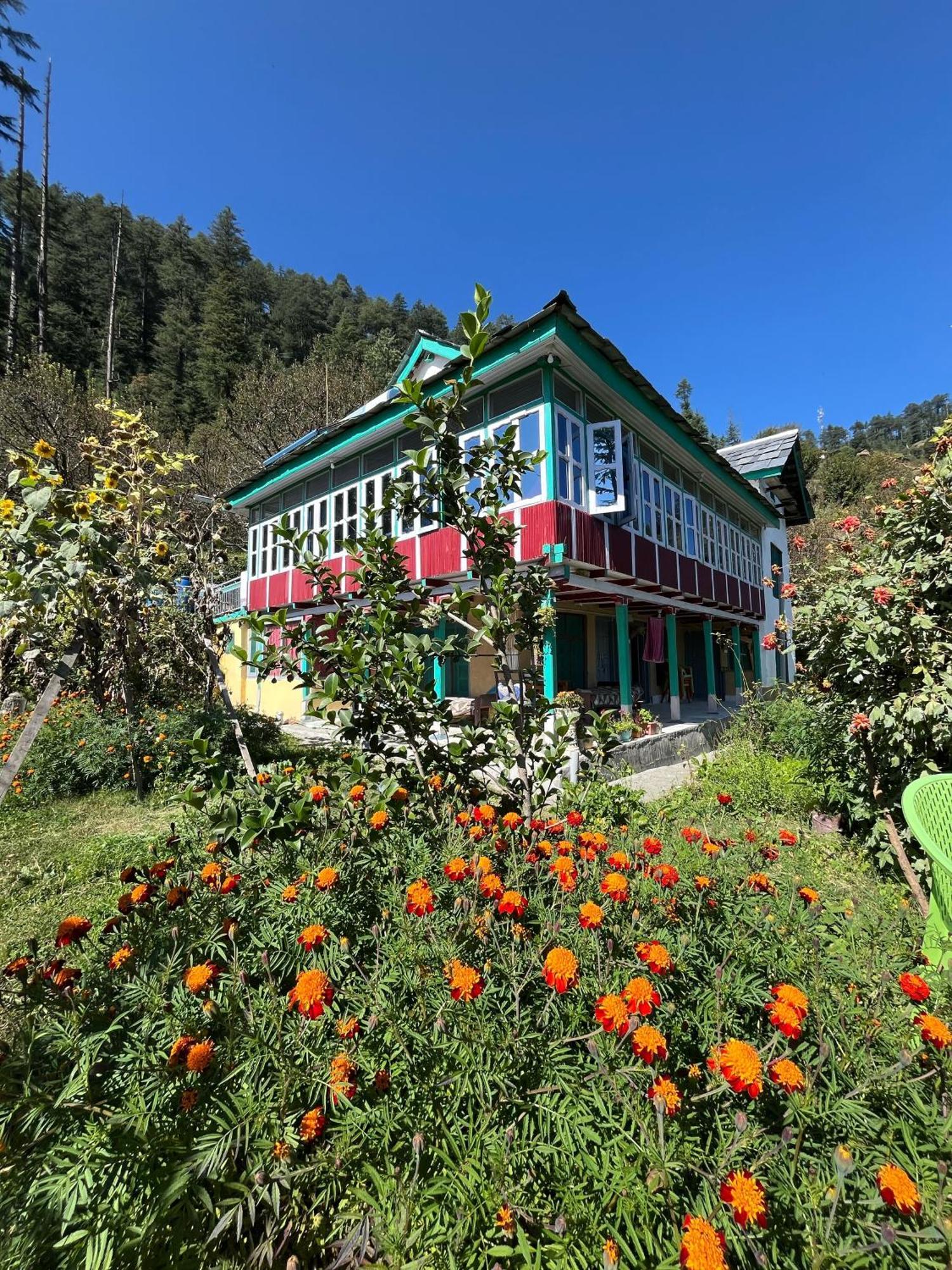 Mountain Eyrie Otel Banjār Dış mekan fotoğraf